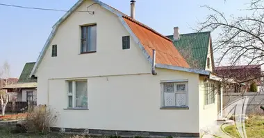 House in Muchaviecki sielski Saviet, Belarus