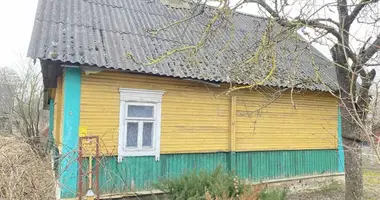 House in Paulauski sielski Saviet, Belarus