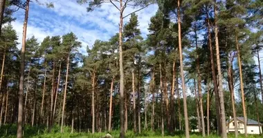 Terrain dans Jurmala, Lettonie