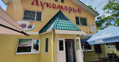 Restaurante, cafetería 265 m² en Dudzicki siel ski Saviet, Bielorrusia