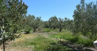 Plot of land in "Phoenix" settlement", Greece
