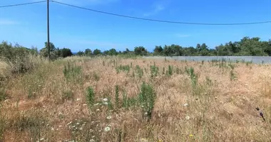 Plot of land in Chalikounas, Greece