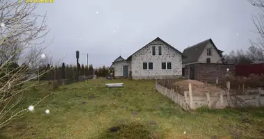 House in Piatryskauski sielski Saviet, Belarus