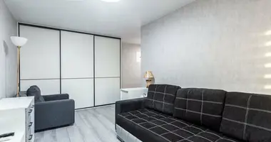 1 room apartment with double glazed windows, with metallicheskaya dver, with appliances in Minsk, Belarus