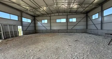 Lager 300 m² in Babice e Madhe, Albanien