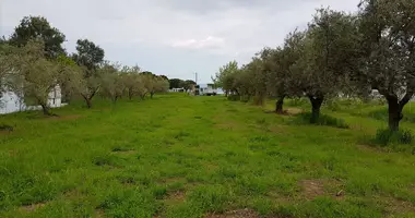 Plot of land in Gomati, Greece