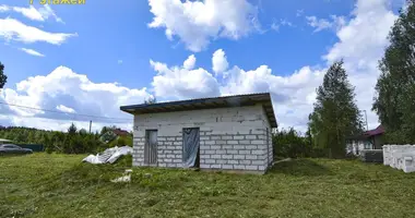 Haus in Akalova, Belarus