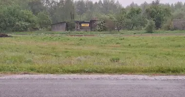 Дом в Клинокский сельский Совет, Беларусь