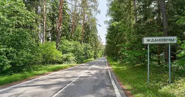 Mieszkanie 2 pokoi w Zdanovicki sielski Saviet, Białoruś