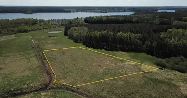 Plot of land in Pusynai, Lithuania