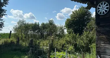 Дом в Лядский сельский Совет, Беларусь