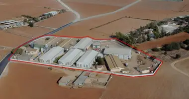 Almacén 2 978 m² en Xylotymbou, Chipre