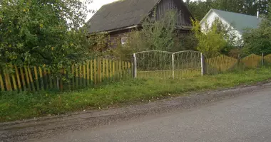House in Babrovichy, Belarus
