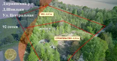 Участок земли в Демидовичский сельский Совет, Беларусь