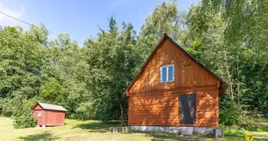 House in Rakauski sielski Saviet, Belarus