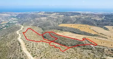 Plot of land in Agios Theodoros Skarinou, Cyprus