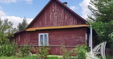 House in Znamienski sielski Saviet, Belarus