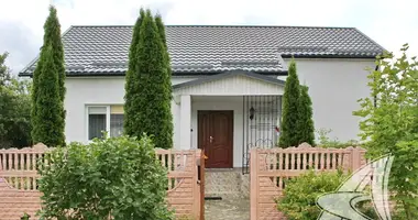 House in Matykalski sielski Saviet, Belarus