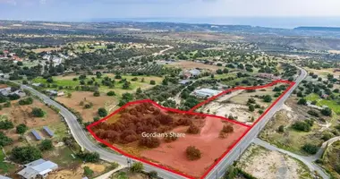 Plot of land in Prasteio Avdimou, Cyprus