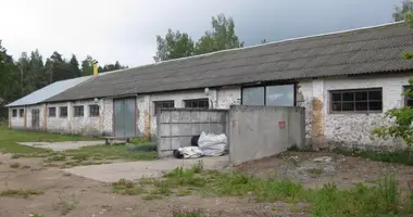 Warehouse 503 m² in Pleshchanitsy, Belarus