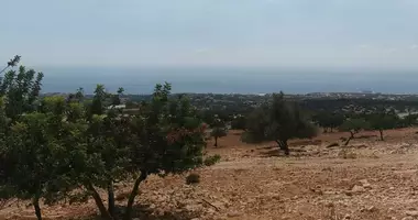 Участок земли в Пафос, Кипр