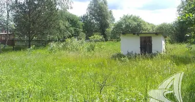 Haus in Znamienski siel ski Saviet, Weißrussland