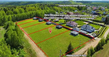 Plot of land in Lahojsk selsaviet, Belarus