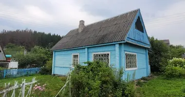 House in Lasanski sielski Saviet, Belarus