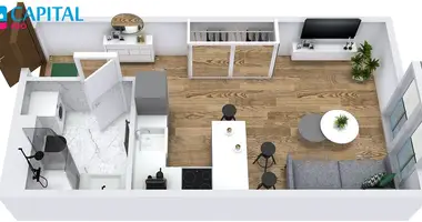 1 room apartment in Vilnius, Lithuania