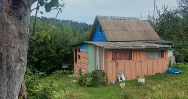 House in Krasnienski sielski Saviet, Belarus