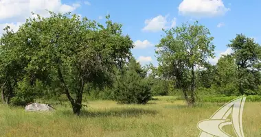 Plot of land in Znamienski sielski Saviet, Belarus