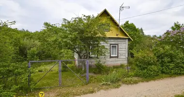 Haus in Piatryskauski siel ski Saviet, Weißrussland