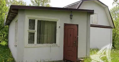 Haus in Matykalski selski Savet, Belarus