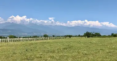 Grundstück in Vardisubani, Georgien