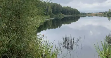 Haus in Krajski siel ski Saviet, Weißrussland