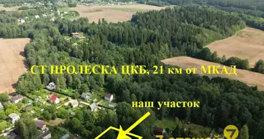 Parcela en Bialarucki sielski Saviet, Belarús