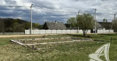 Участок земли в Новицковичский сельский Совет, Беларусь