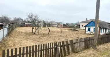 Casa en cyrvonaja Slabada, Bielorrusia