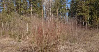 Grundstück in Kalodziscanski selski Savet, Belarus