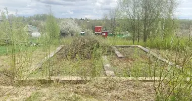 Дом в Красненский сельский Совет, Беларусь