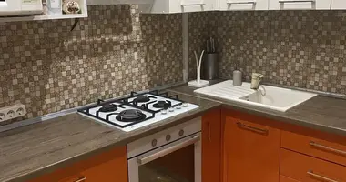 2 room apartment in Minsk, Belarus
