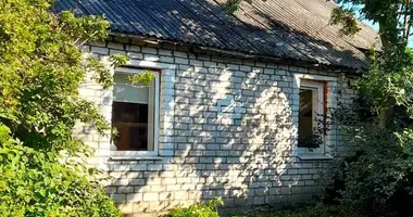 House in Vialikaje Sciklieva, Belarus