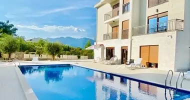 1 bedroom apartment in Montenegro