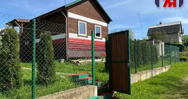 Haus 1 Zimmer in Aliachnovicki sielski Saviet, Weißrussland