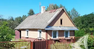 House in Damacauski sielski Saviet, Belarus