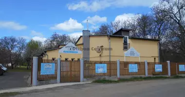 Commercial property 313 m² in Tiszabecs, Hungary