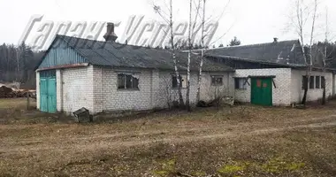 Commercial property 308 m² in Vierchaliessie, Belarus