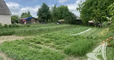 House in Vialikija Matykaly, Belarus