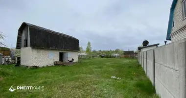 Haus in Baranawitschy, Belarus