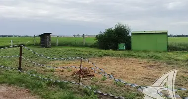 Parcela en Znamienski sielski Saviet, Belarús